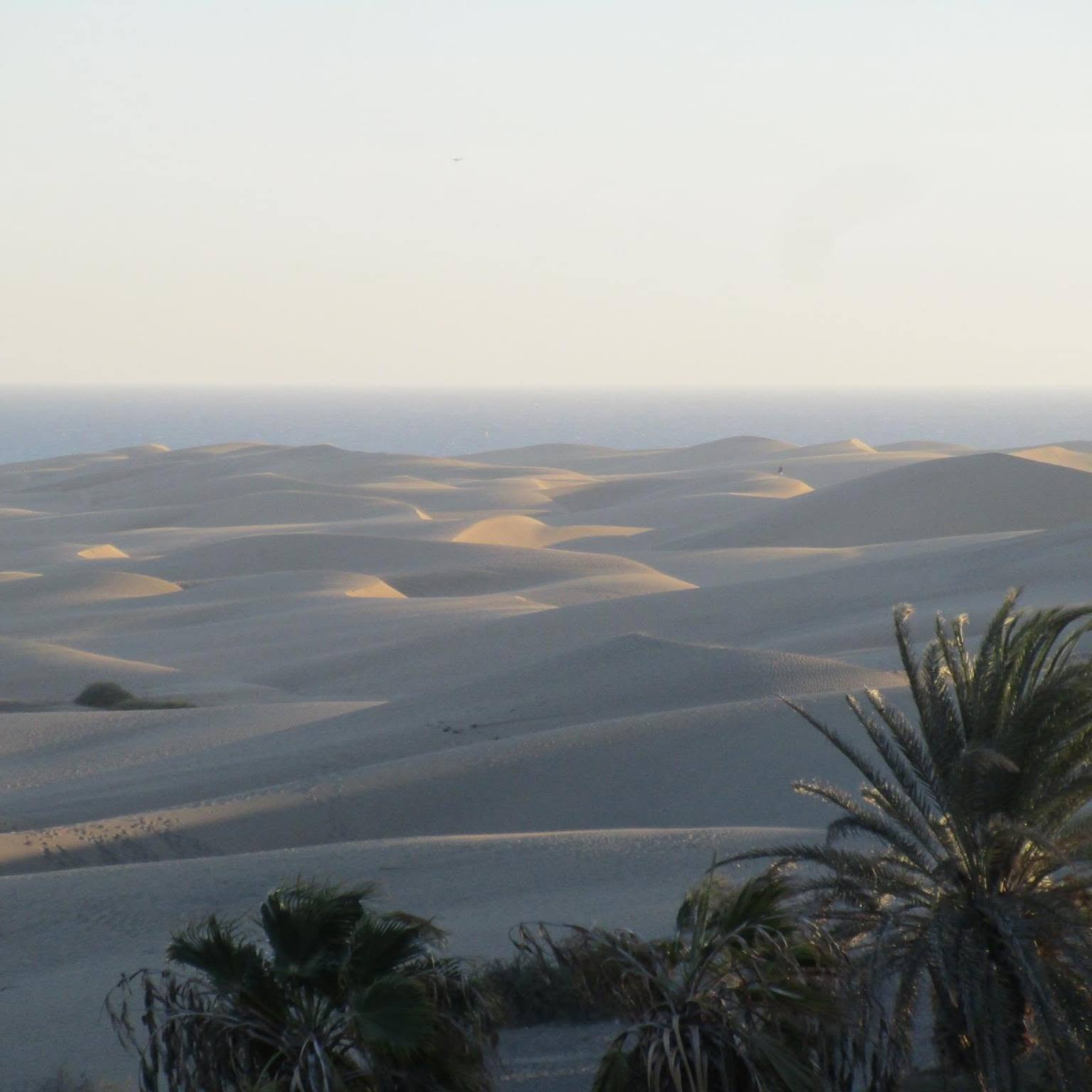 Maspalomas travel photograph